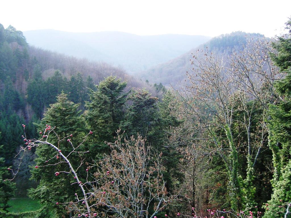 Gite Du Windstein Exterior foto
